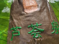 -苏州湾·王焰温泉