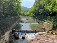 -广州白江湖森林公园