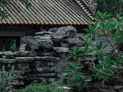 -顺峰山公园