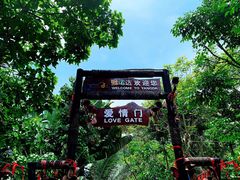 -呀诺达热带雨林