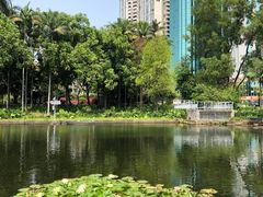 -荔枝公园(福田区)