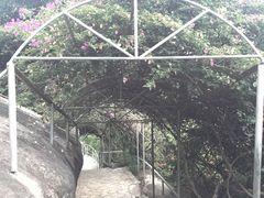 -鸿山公园