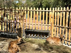 -水上乐园·欢乐世界