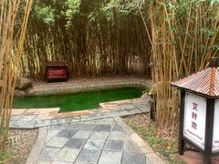 -森波拉火山温泉