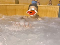 -龙达温泉生态城