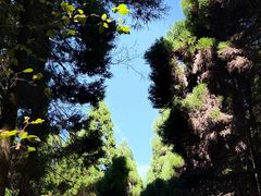 -上色见熊野座神社
