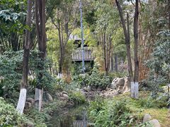 -成都市活水公园