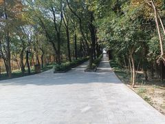 -溱湖国家湿地公园