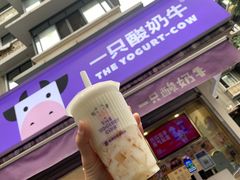 门面-一只酸奶牛(奎星楼店)