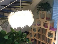 -炼呗运动康复·健身工作室(紫竹桥店)