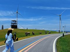 -龙里油画大草原旅游区