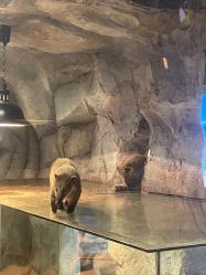 -Zoolung Zoolung动物主题公园(海信广场店)