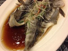 iphone_upload_pic-白家餐厅(徐家汇店)