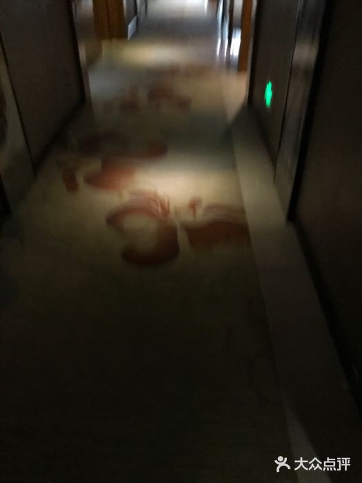 深圳圣淘沙酒店(翡翠店)图片