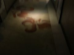 -深圳圣淘沙酒店(翡翠店)