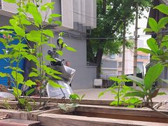 -悟饮门市景店