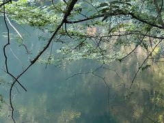 -石台牯牛降景区