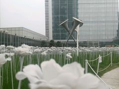-黑龙滩生态鱼火锅(百寿路店)