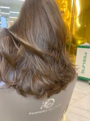 -潘多拉Hairsalon