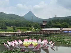 -帽儿山风景区