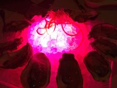 -Day and Night Angus Steak & Raw Bar