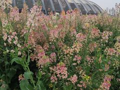 -中国天府农业博览园