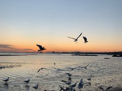 -老虎石海上公园