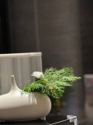 点击看大图 -美壹生皮肤管理中心