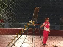 -哈尔滨北方森林动物园