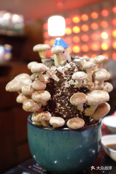 捞王锅物料理(莘庄仲盛店)活体菌菇图片 - 第163张