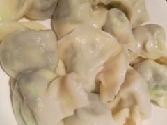 茴香猪肉水饺-东方饺子王(和平里店)