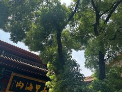 -宝通禅寺