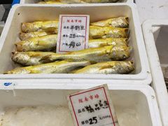 -陇南批发市场
