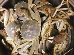 -韩家墅海吉星农产品批发市场