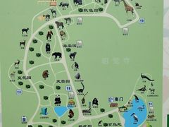-成都动物园