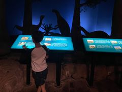 -世界恐龙谷景区