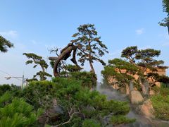 -罗红摄影艺术馆