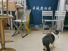 -云城照相馆(龙湖雨山天街店)
