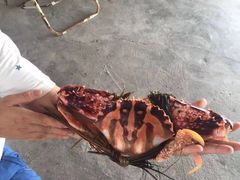 -浪琴湾尾角仔海鲜坊