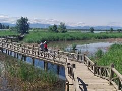 -野鸭湖国家湿地公园