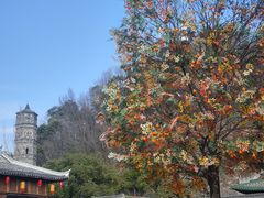 -台州府城(江南长城)