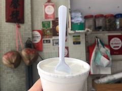 -洪馨椰子