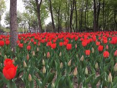 -长春公园(普阳街道)