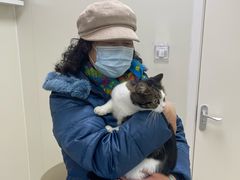 -美联众合动物医院·24h京西诊疗中心