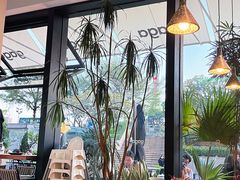靠窗位-gaga(深圳南山益田假日广场店)