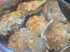 -千岛蚝高压锅生蚝·人参火锅(白云万达店)