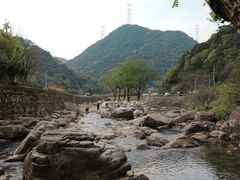 -北仑森林植物园