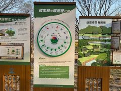 -元大都城垣遗址公园