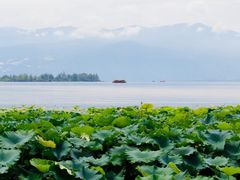 -西昌邛海湿地