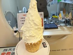 -野人先生现做冰淇淋(北京环宇荟店)